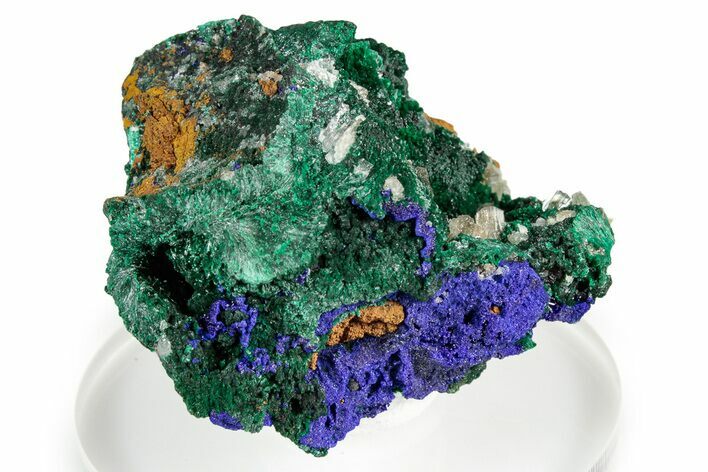 Cerussite and Green Malachite on Sparkling Azurite - Congo #346129